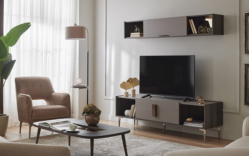 TV Ünitesi Renk Seçimi ve Uyumlu Dekorasyon Fikirleri